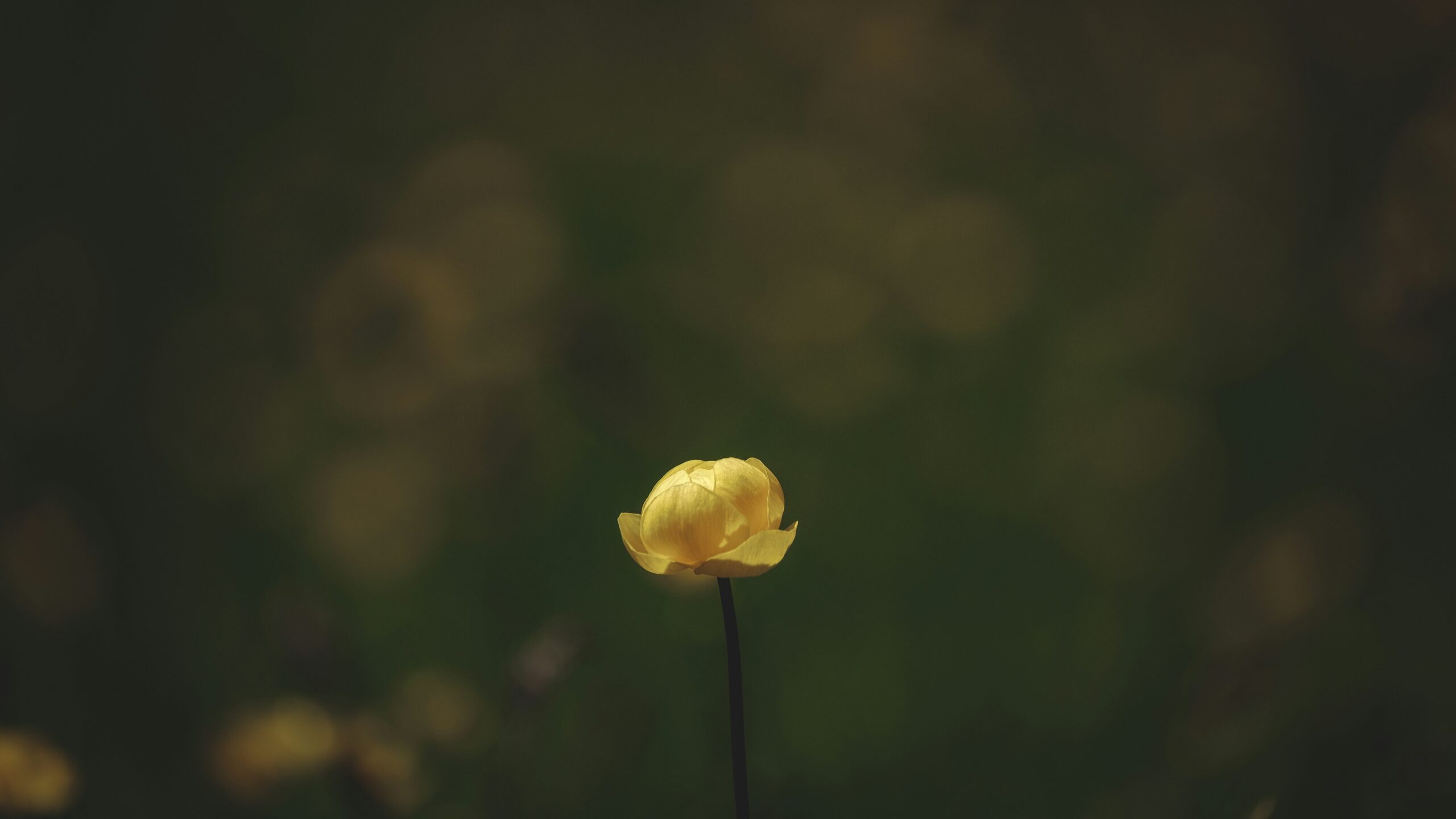 R&D Without ROI: Why Brilliant Ideas Often Go Unnoticed